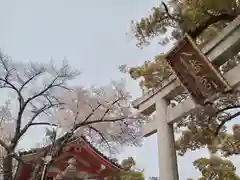 百舌鳥八幡宮(大阪府)