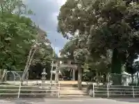 養父八幡神社(佐賀県)