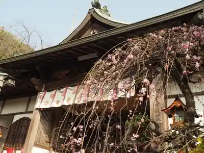 阿弥陀院の本殿・本堂