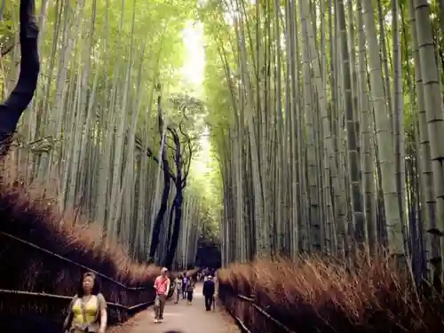 天龍寺の建物その他