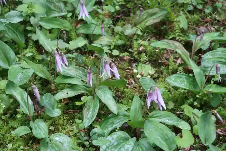 達身寺(兵庫県)