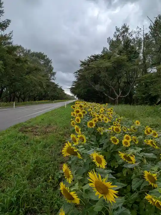雲昌寺(秋田県)