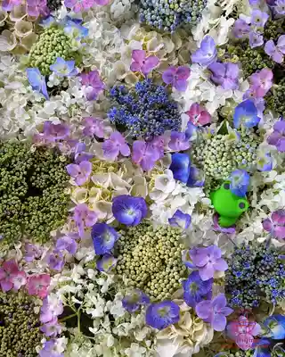 立志神社(滋賀県)