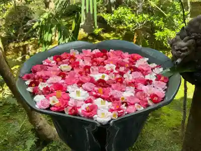 法然院(京都府)