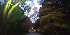 賀茂御祖神社（下鴨神社）の建物その他