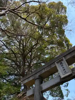 楠木神社(茨城県)