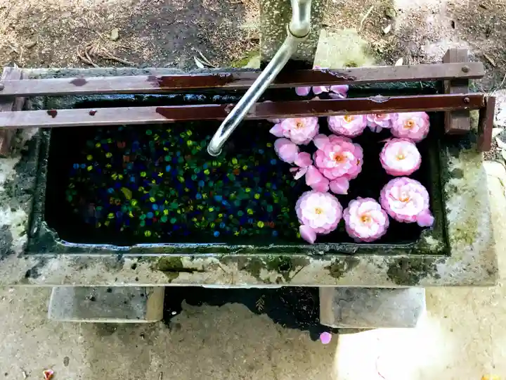 東蕗田天満社の手水舎