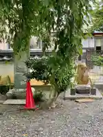 恵福寺のその他建物