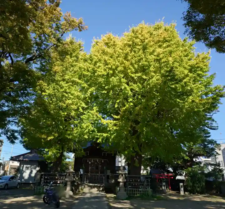 八幡橋八幡神社(神奈川県)