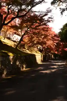 曼殊院門跡(京都府)