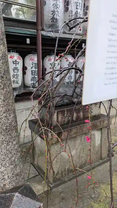 文子天満宮の狛犬