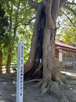 日吉神社(秋田県)