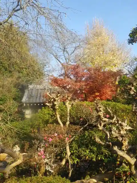 浄光明寺の庭園