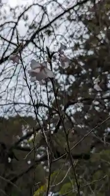 岡崎神社(京都府)