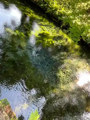 白川吉見神社(熊本県)