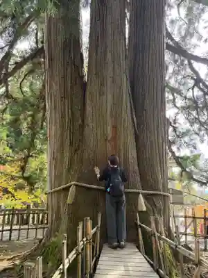 戸隠神社中社(長野県)