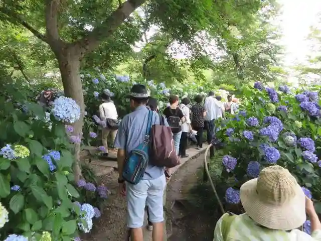 矢田寺(奈良県)