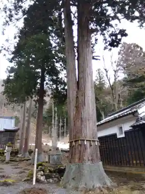 鵜甘神社(福井県)