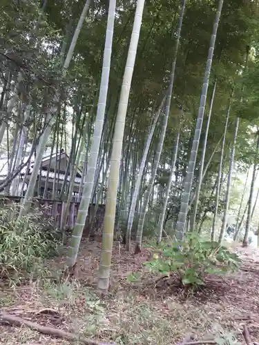 三芳野神社の自然