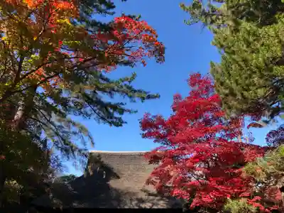 平林寺のその他建物