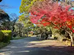 大宝八幡宮の建物その他