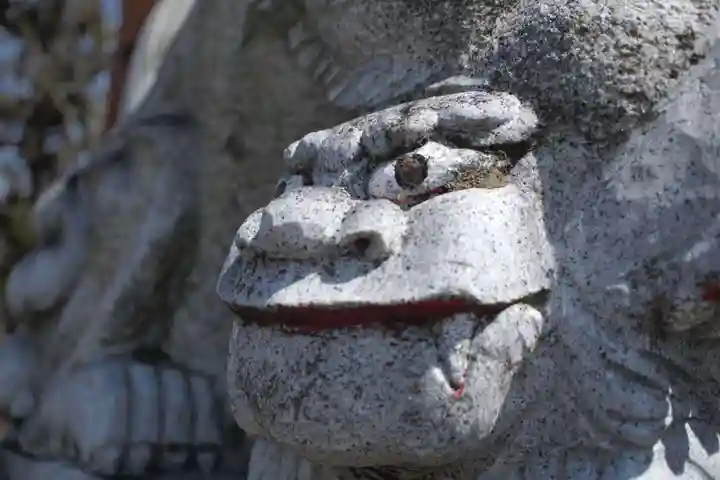 山梨縣護國神社の狛犬