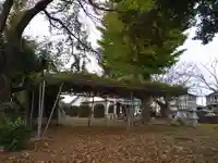 熊野神社の自然
