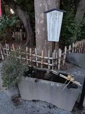 前鳥神社(神奈川県)