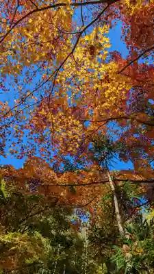 長法寺(京都府)