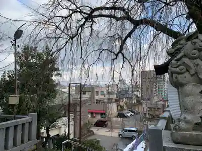 毛谷黒龍神社(福井県)