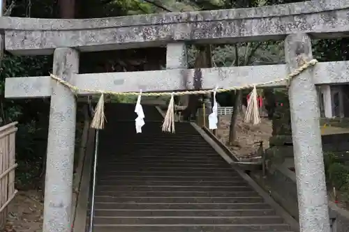 氷川神社の鳥居