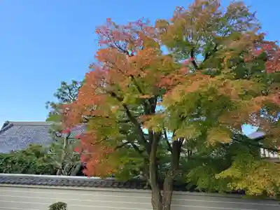 後白河院御聖蹟　法住寺(京都府)