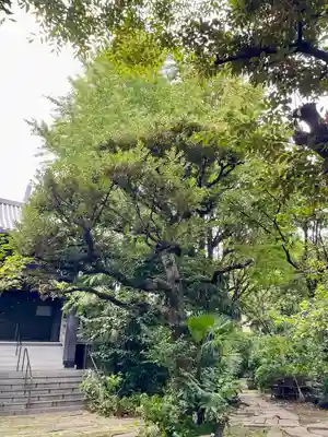 竜谷寺(東京都)