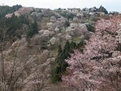 如意輪寺(奈良県)