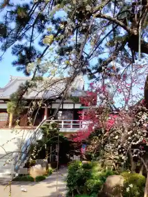 玄国寺(東京都)