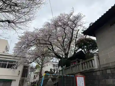 元町厳島神社の{uncategorized: "未分類", other: "その他", undefined: "問題あり", building: "その他建物", grave: "お墓", sacred_gate: "鳥居", guardian: "狛犬", statue: "像", buddha: "仏像", history: "歴史", nature: "自然", garden: "庭園", animal: "動物", pagoda: "塔", temizu: "手水舎", mountain_gate: "山門・神門", sanctuary: "本殿・本堂", subordinate: "末社・摂社", art: "芸術", scenery: "景色", jizo: "地蔵", ema: "絵馬", goshuin: "御朱印", omikuji: "おみくじ", items: "授与品その他", amulet: "お守り", goshuincho: "御朱印帳", eats: "食事", festival: "お祭り", votive_dance: "神楽", shichigosan: "七五三参", wedding: "結婚式", experience: "体験その他", initially: "初詣", around: "周辺", anti_infection: "感染症対策"}