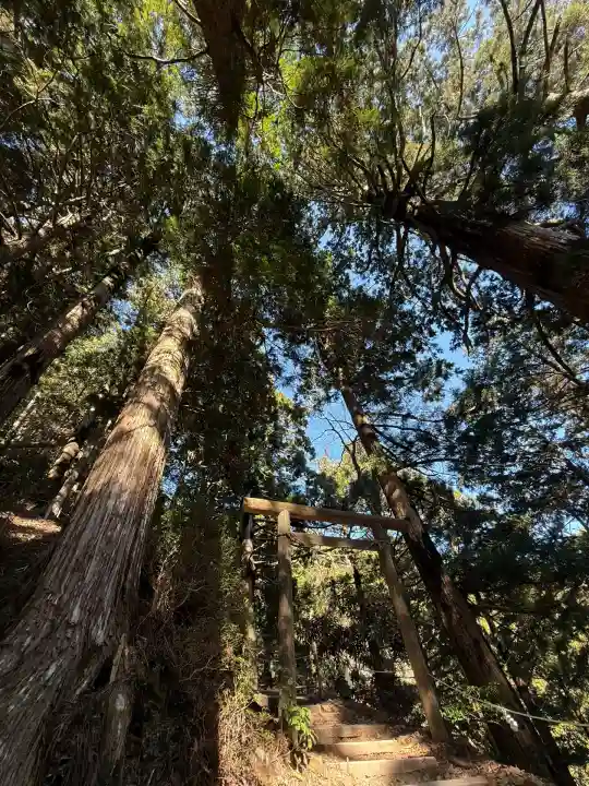 玉置神社(奈良県)
