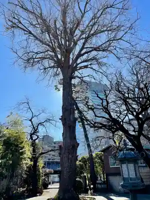 無量寺(東京都)