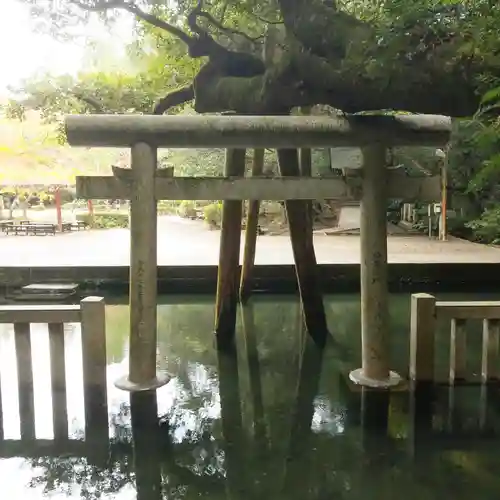 鹿島神宮の鳥居