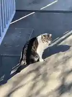 南泉寺(東京都)