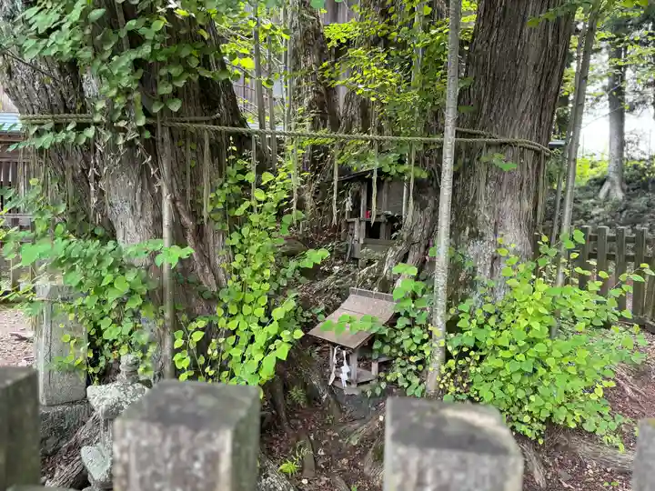 小室浅間神社(山梨県)