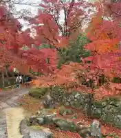 金剛輪寺(滋賀県)