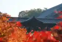 東福禅寺(東福寺)(京都府)