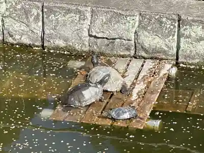 曼荼羅寺(香川県)