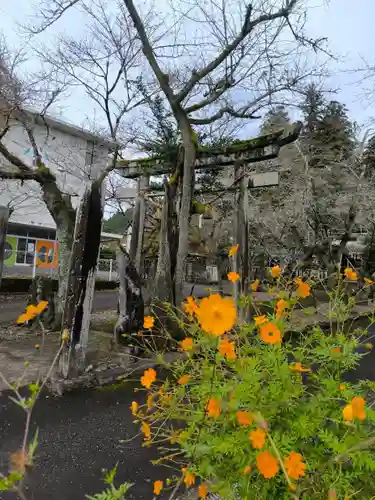 天鷹神社(岐阜県)