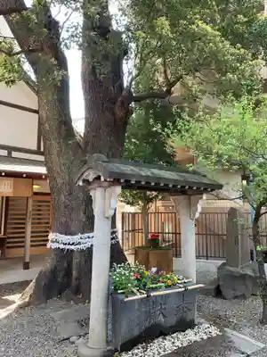 目黒富士浅間神社の手水舎