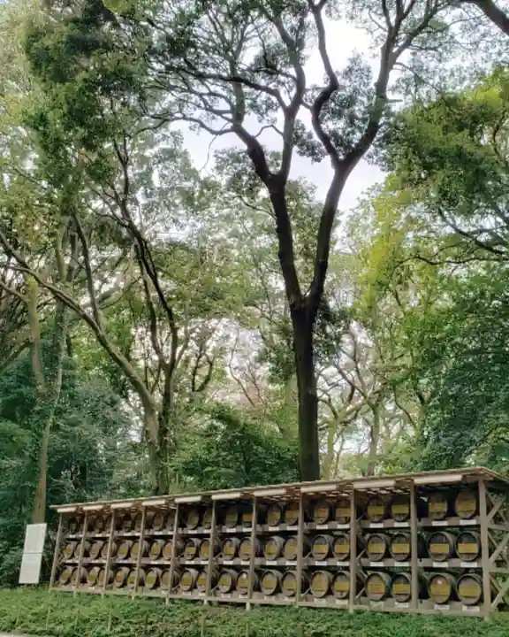 明治神宮の自然