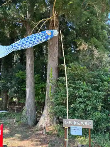 金枝白蛇大権現(栃木県)