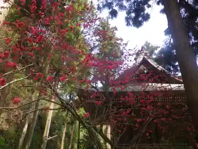 御霊神社のその他建物