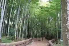 八王寺の周辺